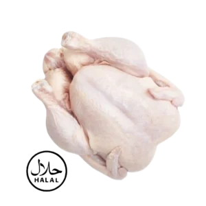 Halal Chicken