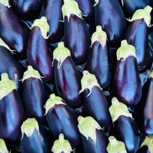 Eggplant