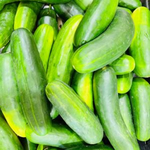 Cucumber